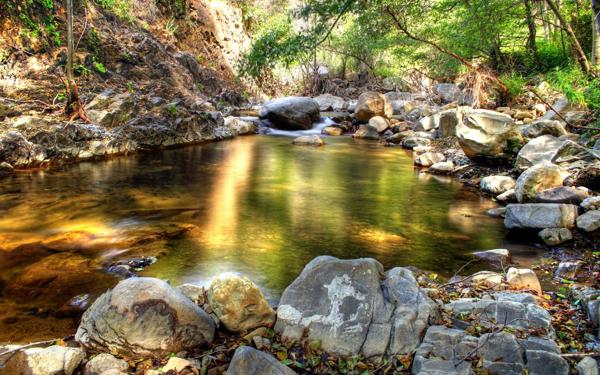 Nature